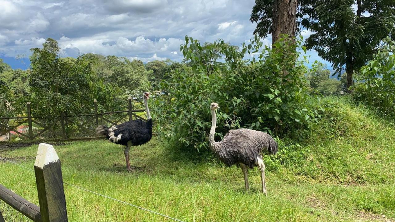 Hotel Rancho Ecoturistico El Faro La Mesa  Zewnętrze zdjęcie