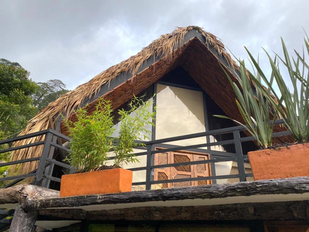 Hotel Rancho Ecoturistico El Faro La Mesa  Zewnętrze zdjęcie