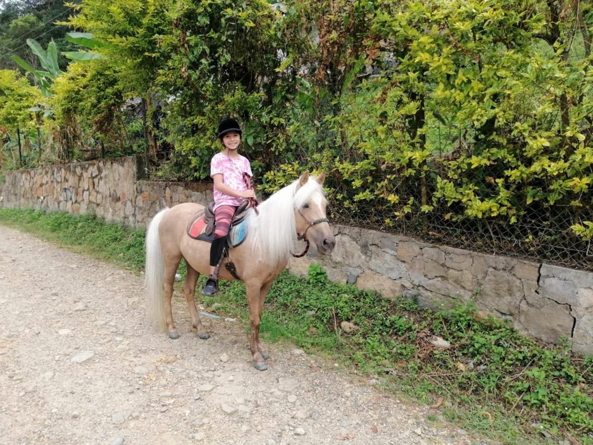 Hotel Rancho Ecoturistico El Faro La Mesa  Zewnętrze zdjęcie